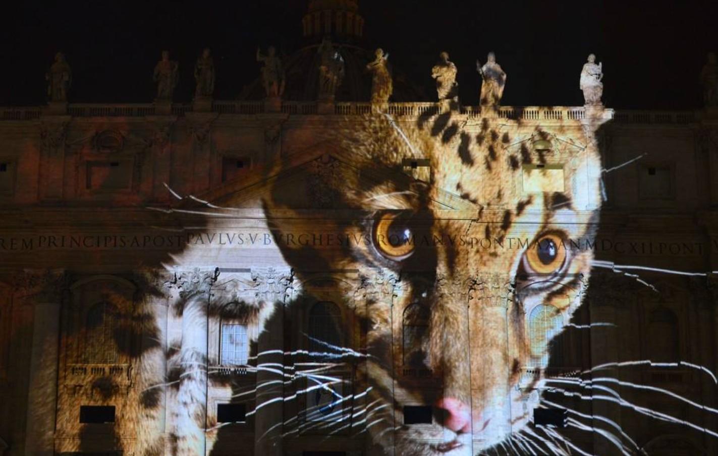 Capture d ecran 2025 03 24 001358