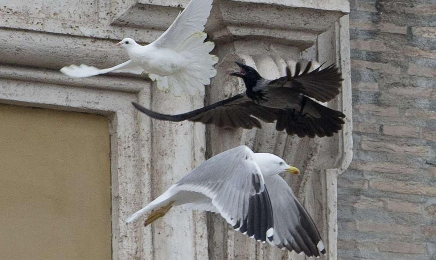 Capture d ecran 2025 03 24 004651