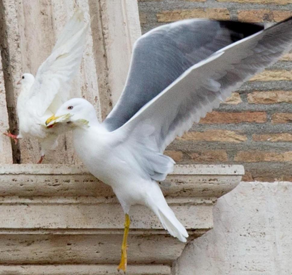 Capture d ecran 2025 03 24 004837