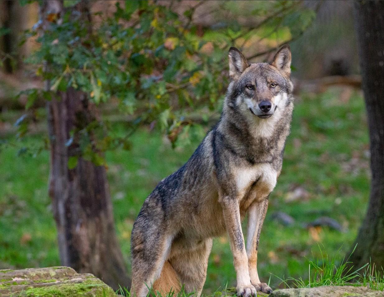 Capture d ecran 2025 04 04 045226